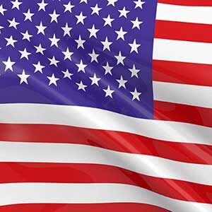 AMERICAN HISTORY